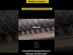 Etiyopya Müşteri Otomatik Gabion Mesh Üretim hattını çalıştırıyor.